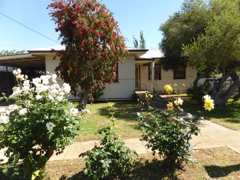 Investment opportunity