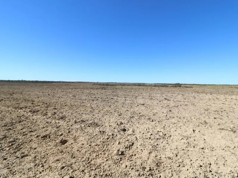 MASSIVE HORTICULTURE OPPORTUNITY