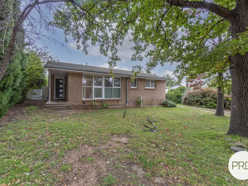 Family home in the heart of Woden Valley