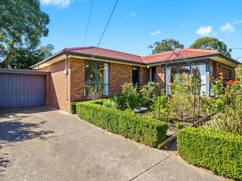 The dream entertainer