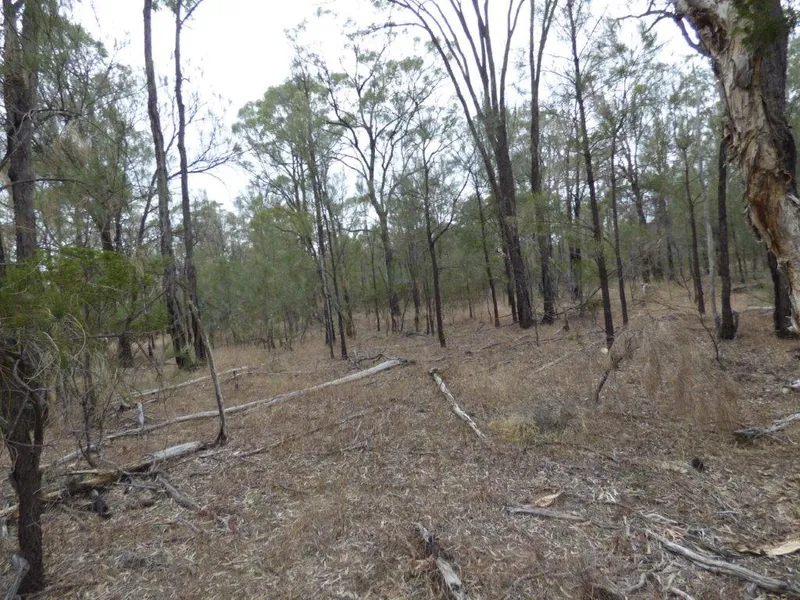 Lifestyle property short distance to Tara