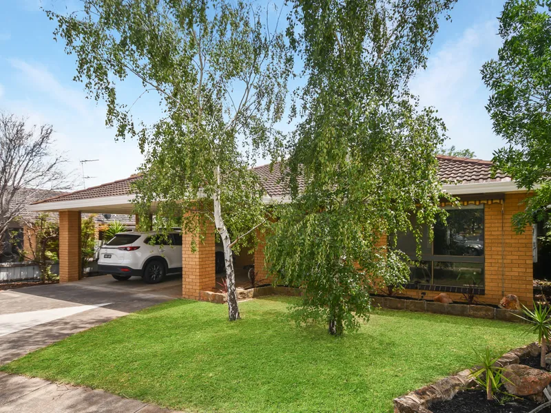 Luxury Living - Entertaining Fun