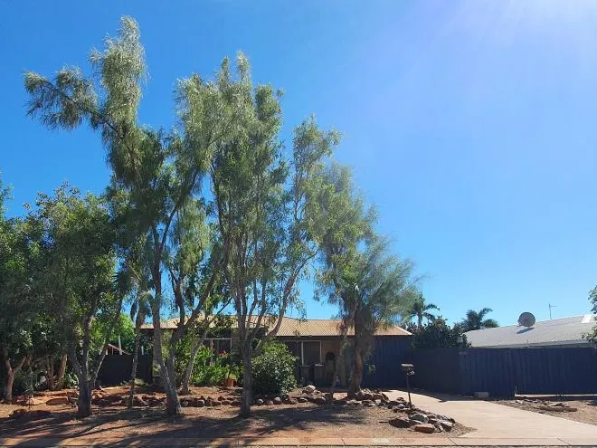 3x1 family home on large block with monthly gardening services included