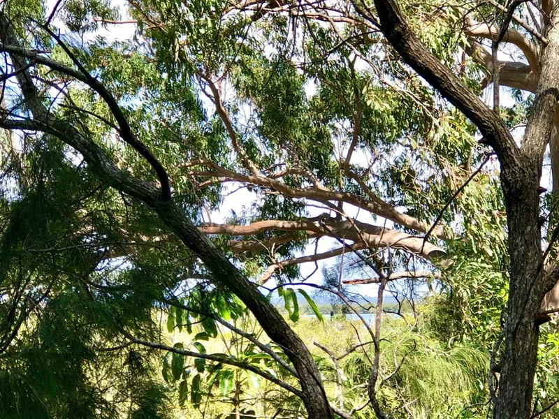Waterviews towards the Gold Coast....