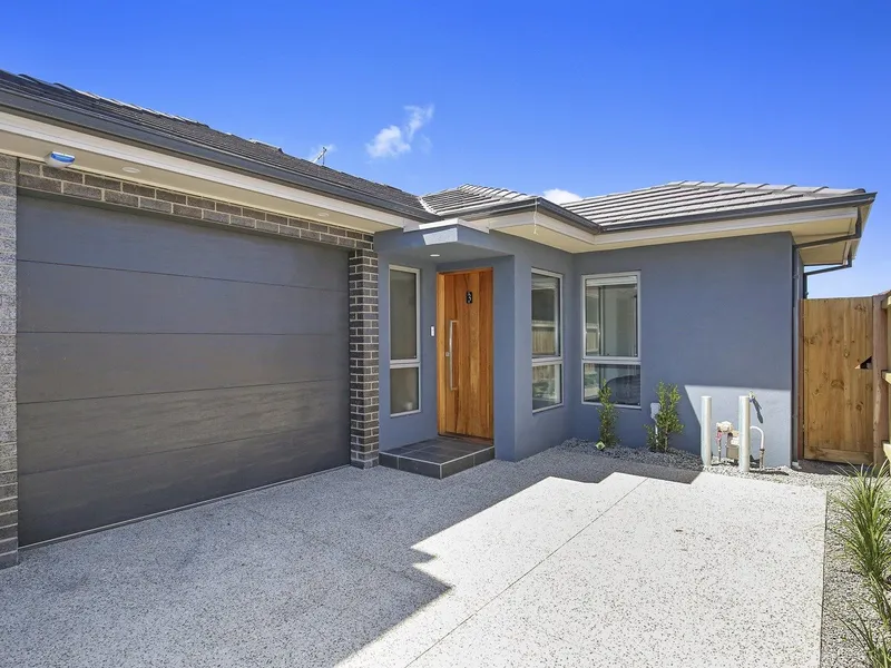 Sleek Stylish Contemporary Living