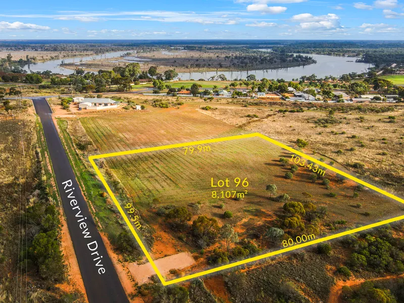 Limitless Potential for Creativity