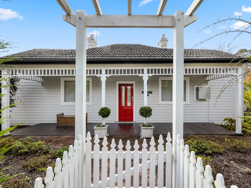 Pretty as a 'Lilyfield' - True Mountain Charmer