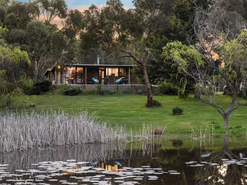 Private and Secluded Oasis With District Views