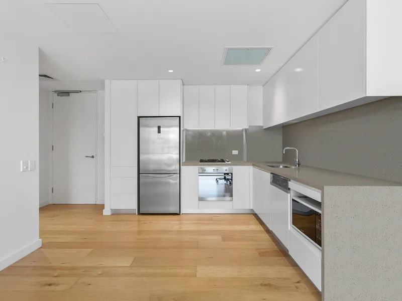 Elevated Leafy Outlook with Dappled Light-Filled Contemporary Interiors