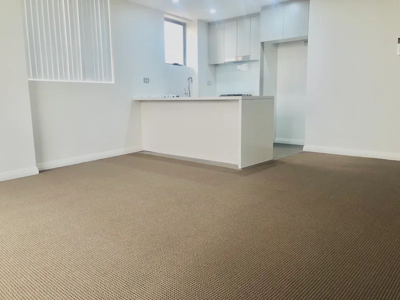 Brand New Two Bedrooms Apartment for Rent