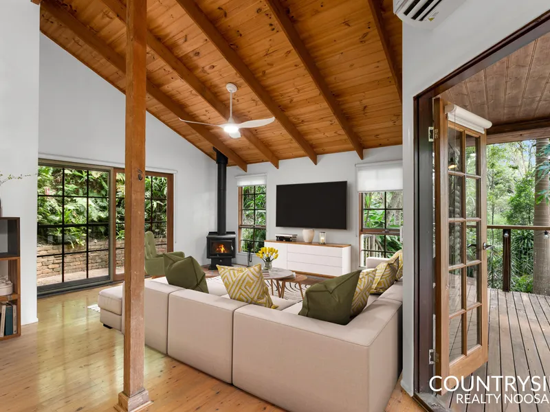 Tree top retreat in the heart of the Hinterland