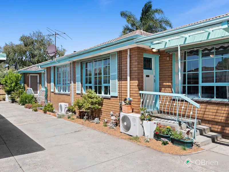 One of a kind & ready to be loved!