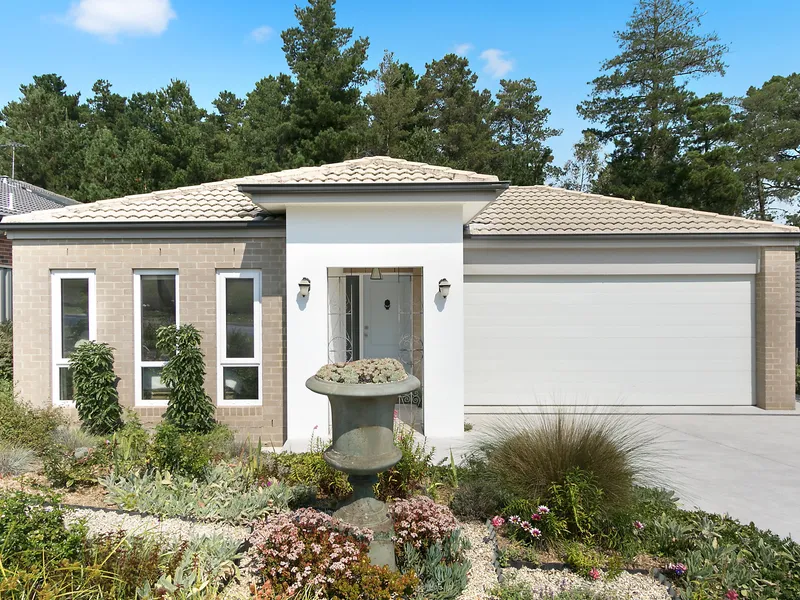 Private Oasis in the Suburbs