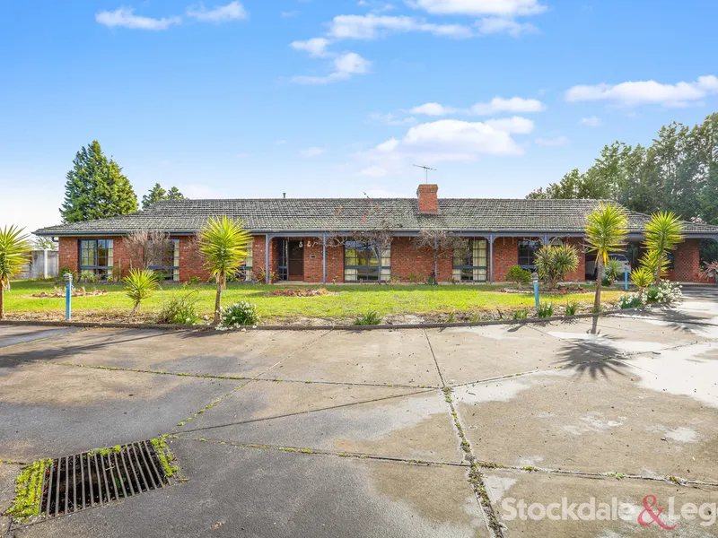 OLIVES & LEMONS WOODSTOCK FESTIVAL!