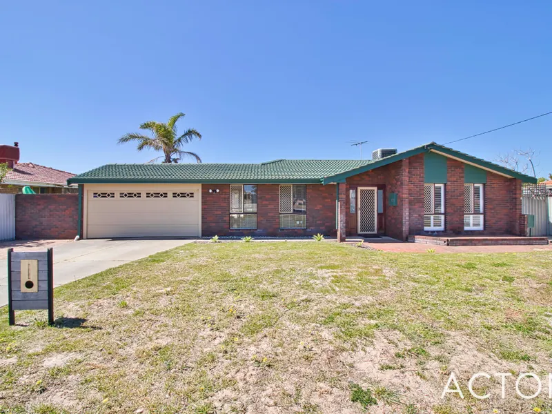 Searching For My New Family