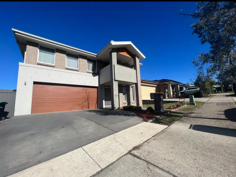 FOR THE LARGER FAMILY