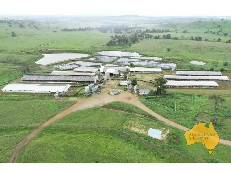 Piggery Enterprise Property designed for efficiency & productivity!