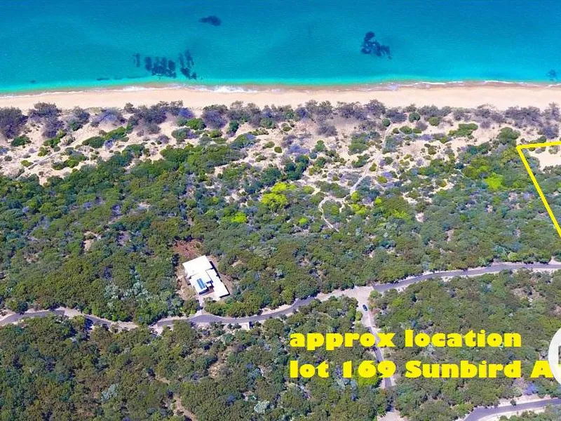 Absolute Beach Front land