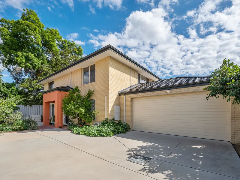 High Quality Blank Canvas at Your Fingertips 