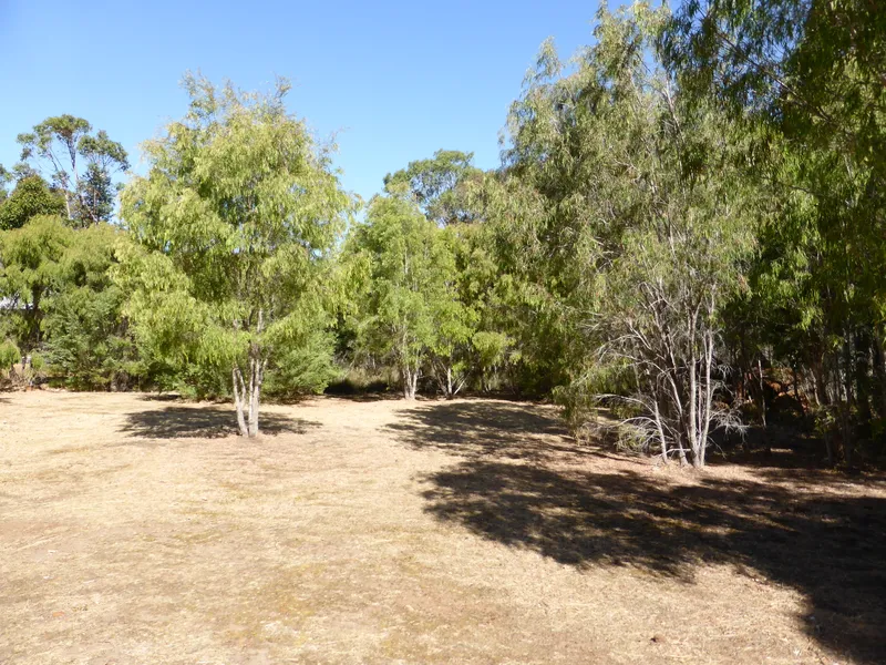 Half Acre of Semi Rural BLISS!