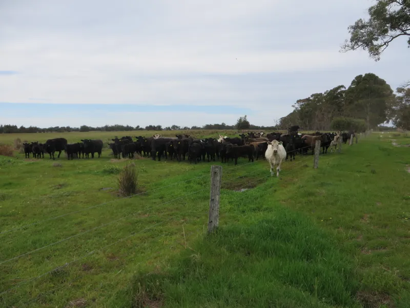 Lot 34 Hill Road, West Coolup 85.573 Ha (211.455 Acres)