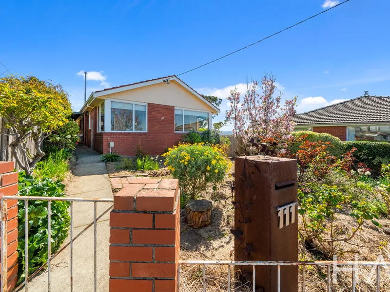 Welcome to 111 Forest Rd, West Hobart