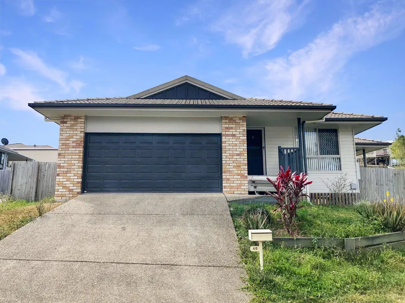 Investment Opportunity