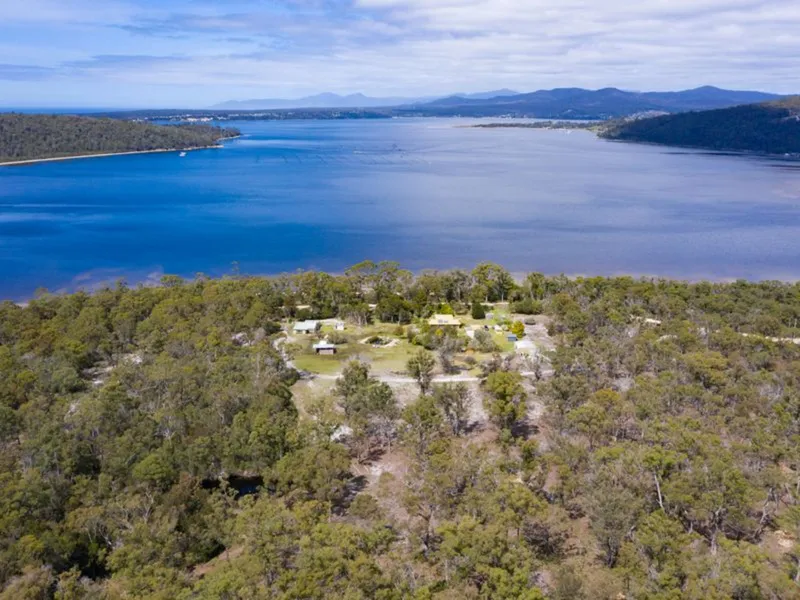 Bush, Beauty and the Bay