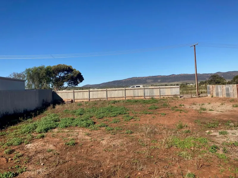 Quiet street, amazing views!