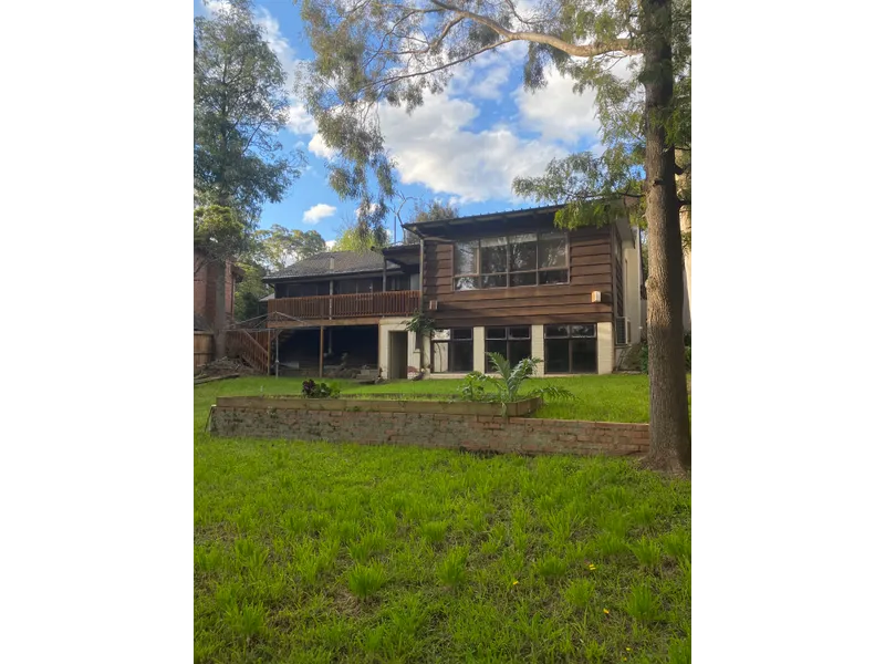 Living in The Tree Tops!