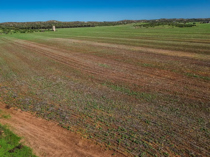 30 Hectares to Call your Own.