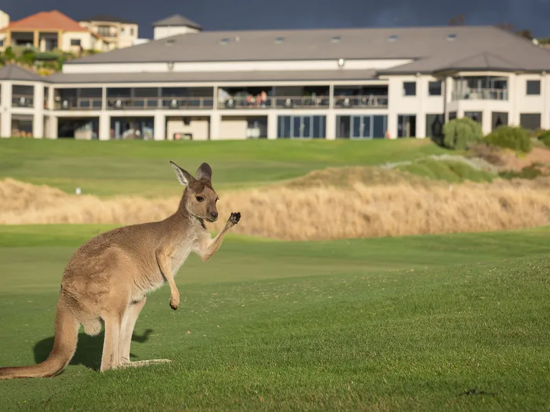 Ocean Views within Links Lady Bay Golf Course!