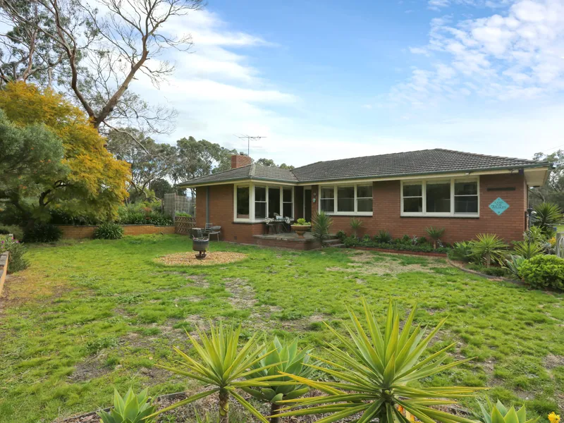 Directly across from the Basin Reserve!