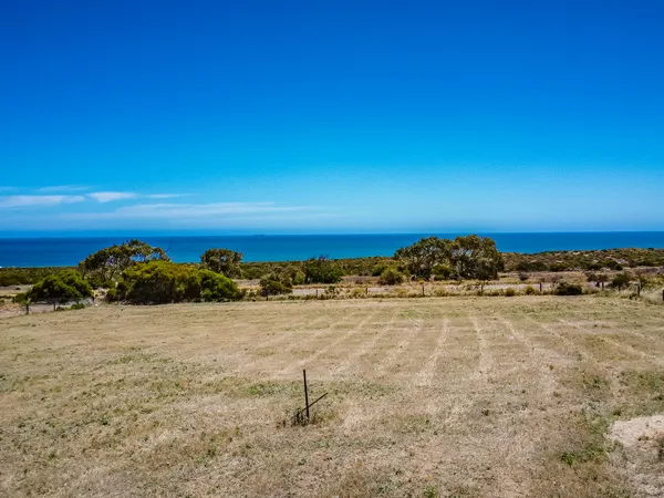 Beautiful Buller