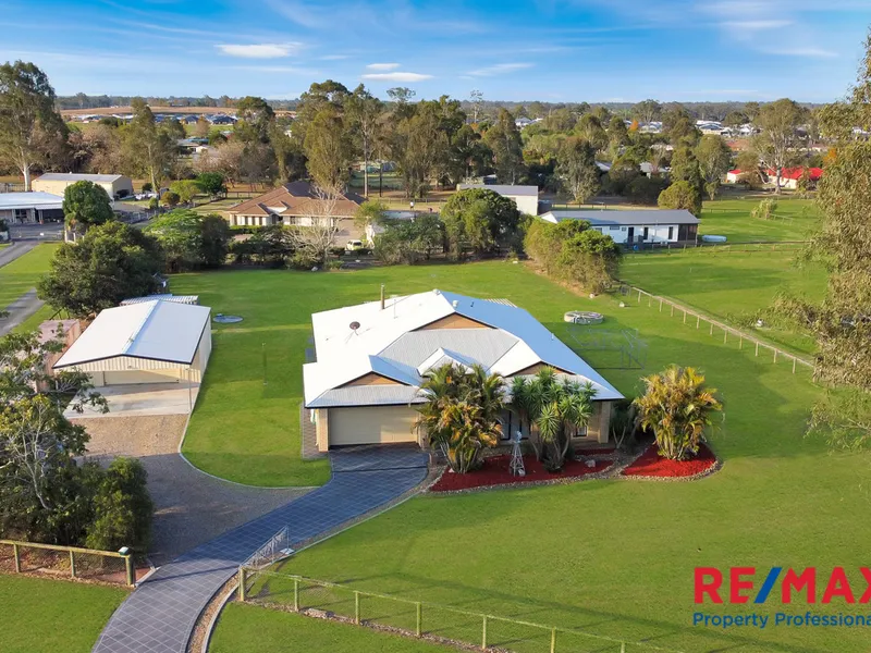 3 Living Areas | Study | 4 Generous Bedrooms | Large Shed | Available 14th December