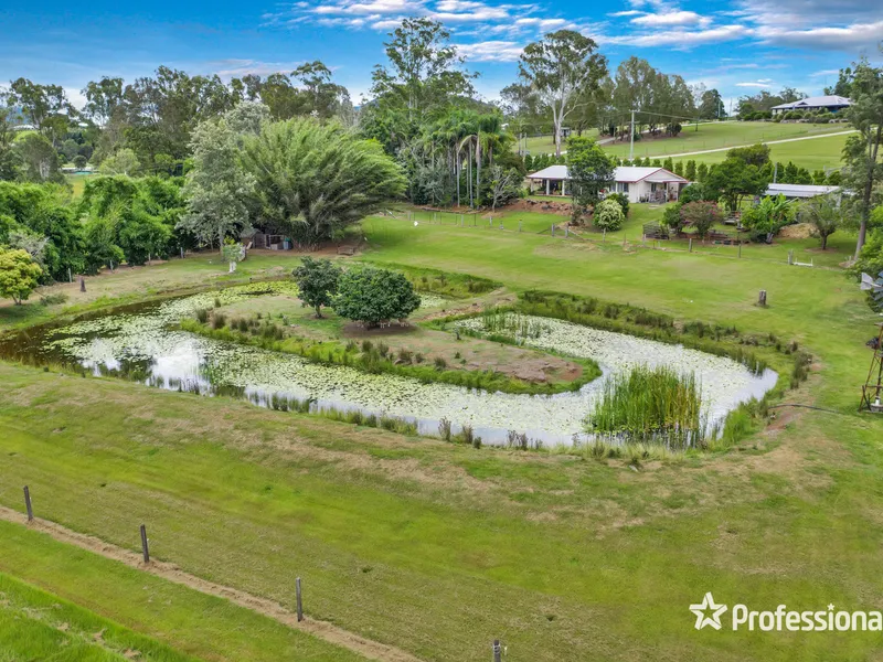 AUCTION CANCELLED!!!