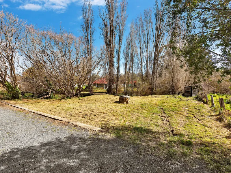Character block on a huge allotment