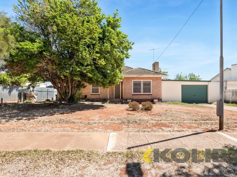 Large Land Holding with Rental Income!