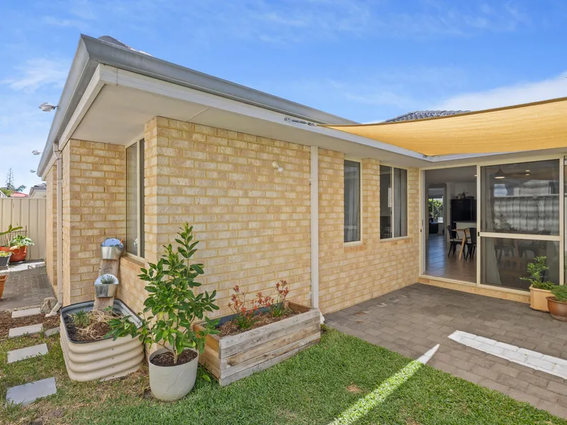 Hidden Gem in Wilson Wonderland