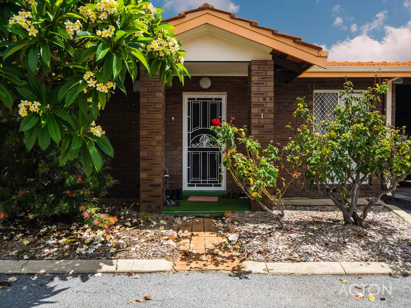 CLOSE TO EVERYTHING YOU NEED