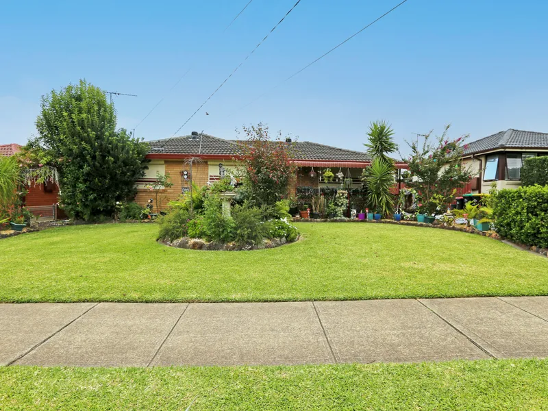 Immaculate Family Home