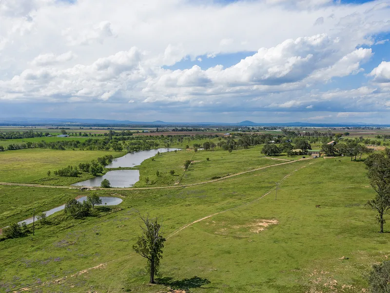 HUGE 155 ACRES - LAND BANK