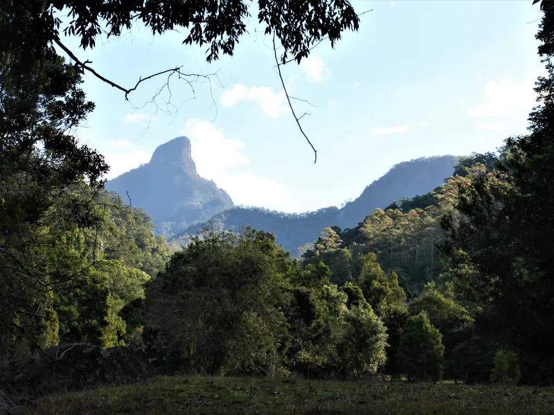 Own your very own slice of Mount Warning
