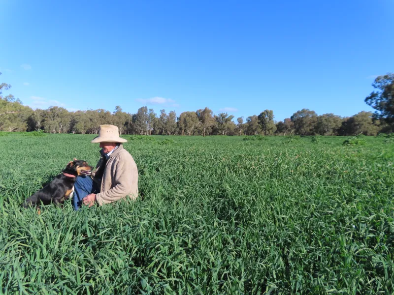 Ray White Condobolin