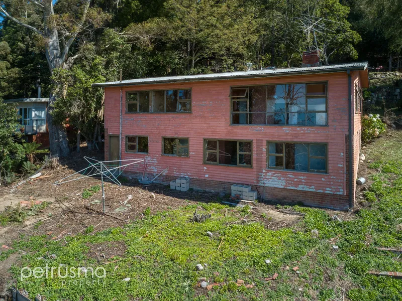 The ultimate renovator