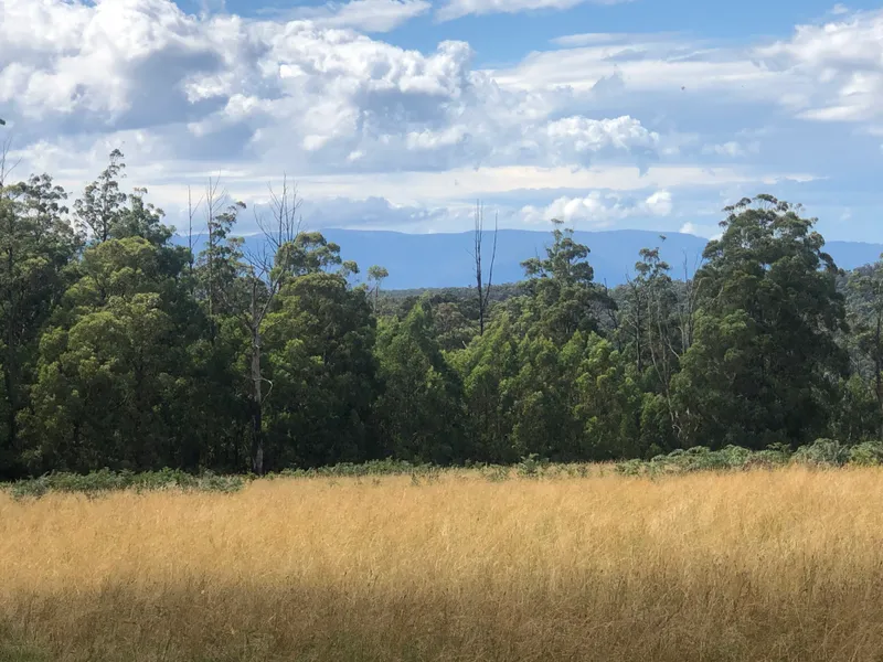 50 ACRES OF PRIME AGRICULTURAL LAND