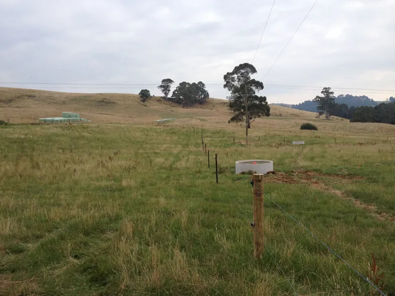 70.56ha (175 Acres)  High Rainfall Cropping and Grazing Land with River Frontage