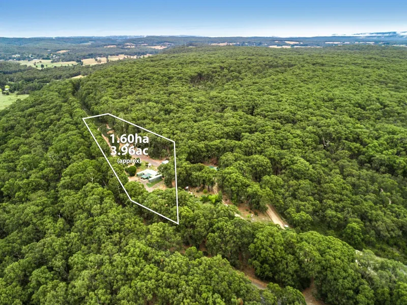 Stunning Forest Retreat  1.6 Ha (3.96 acres) approx.