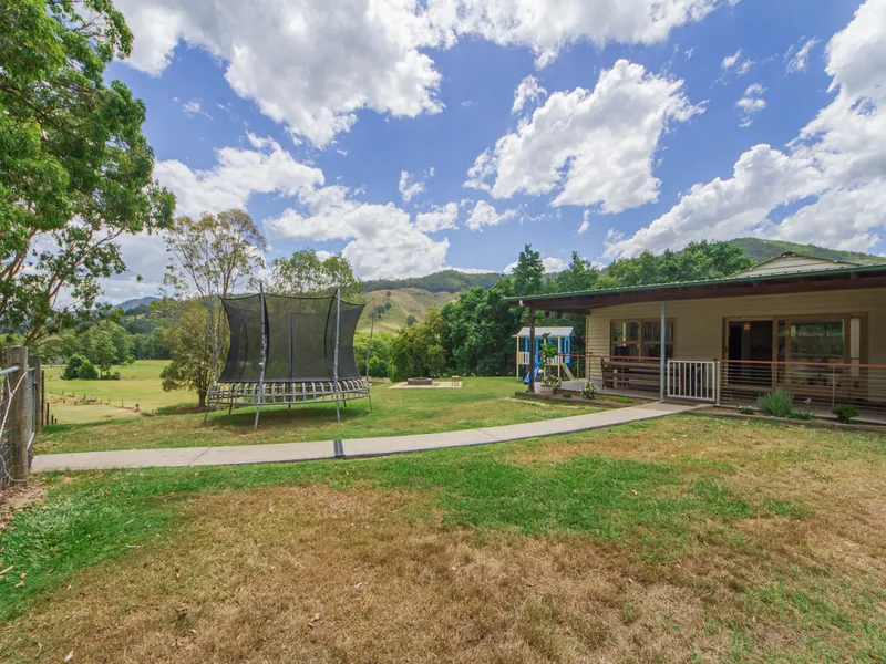 THE DREAM STARTS HERE