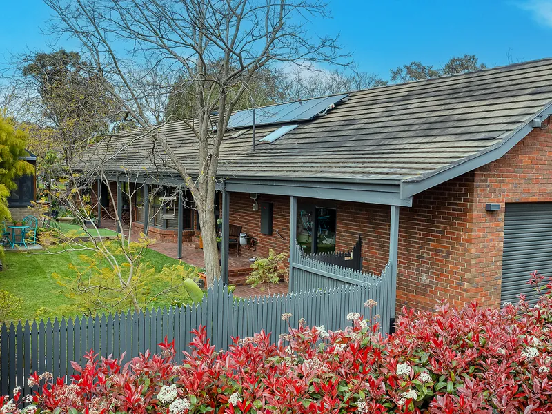 Incredible Family Space, Timeless Verdant Style
